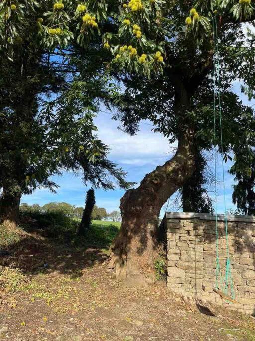 Gite Du Dolmen Guiscriff Zewnętrze zdjęcie
